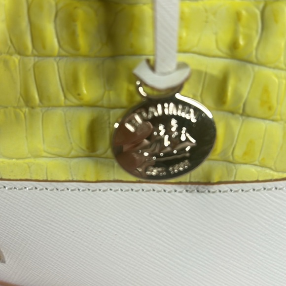 Brahmin Vivian Limelight La Scala Color Block Satchel - Picture 7 of 14